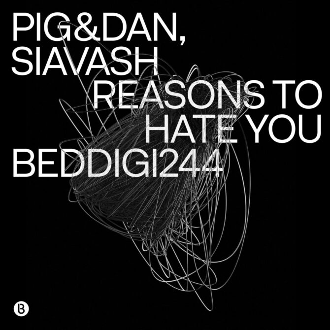 Reasons To Hate You by Pig&Dan & Siavash – cover art