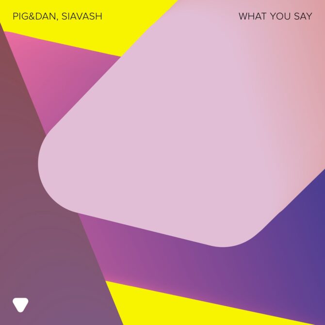 What You Say by Pig&Dan & Siavash – cover art